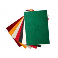Обложка для биндера Colour А4 прозр.-зеленая D&A art