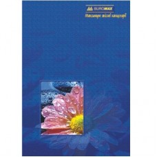 Книга учета офсетная А4 96л BuroMax